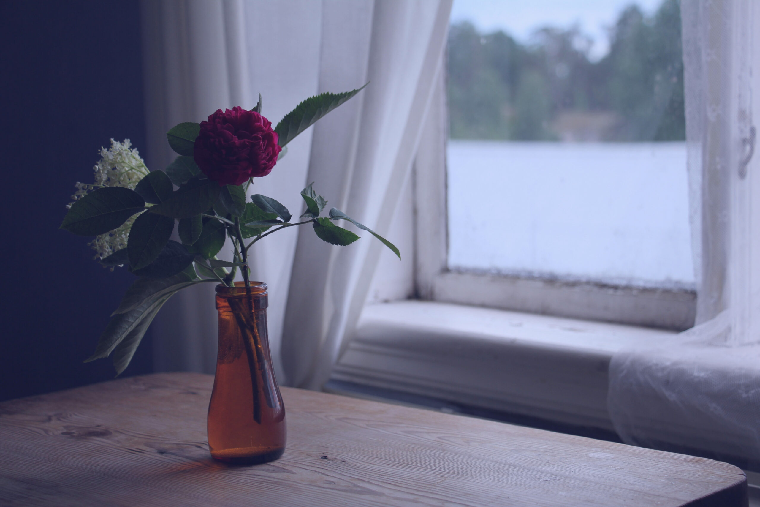 Small orange vase with a red carnation and white baby's breath sitting on a table with a window overlooking a snowy yard in the background
